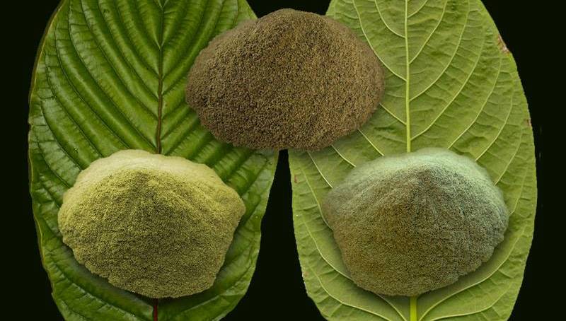 kratom powder and leaf